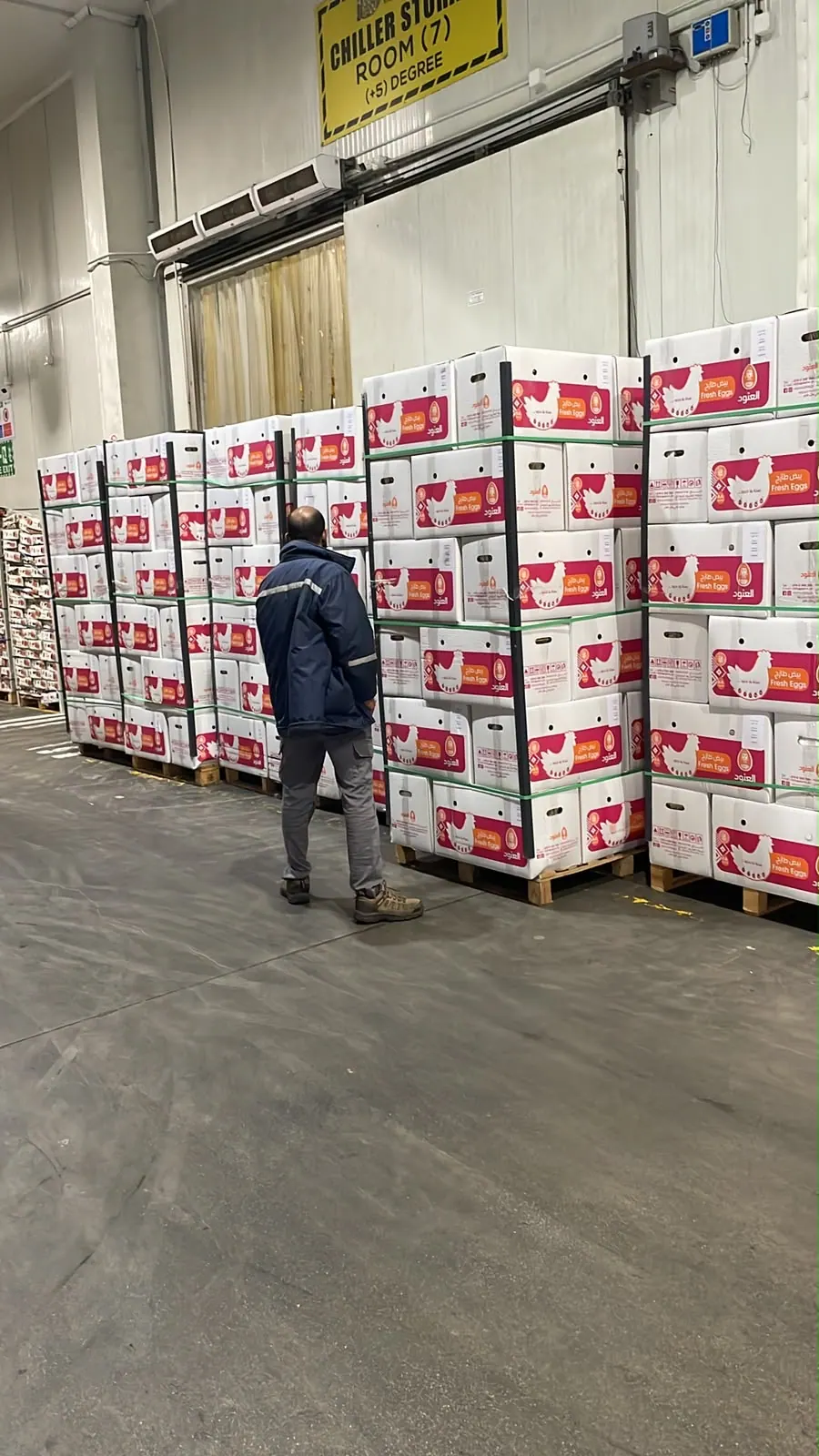 Noor Al Rizq team member inspecting pallets of egg stock in the warehouse